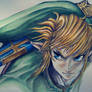 Link