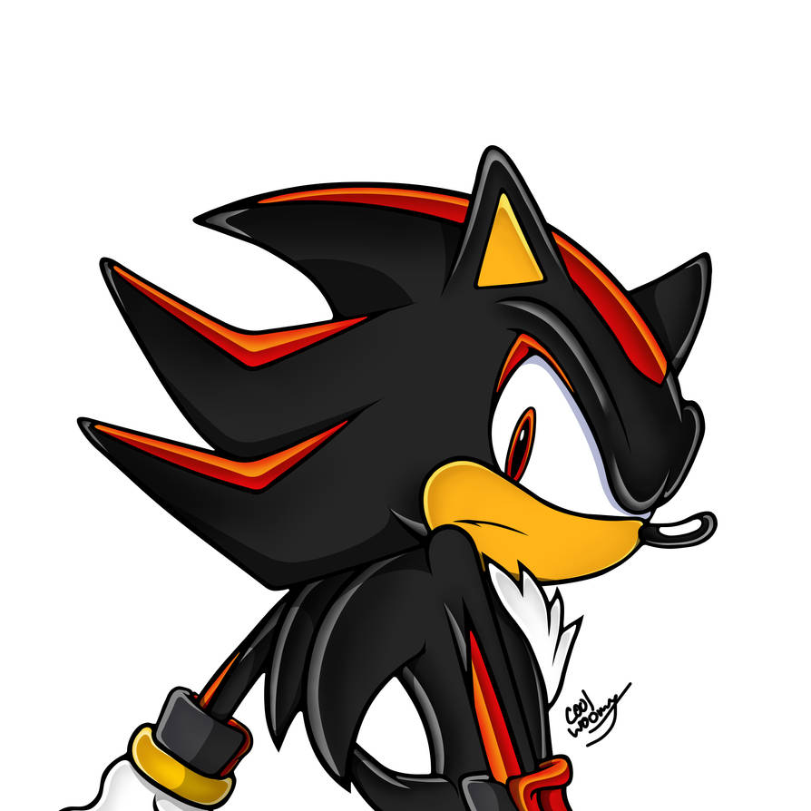 Shadow in the Adventure Style by coolwoomy on DeviantArt