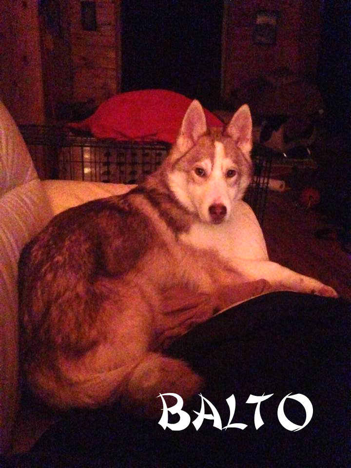 Balto