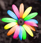 Rainbow Flower. by urlilcupcake