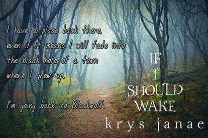 Excerpt #1 - If I Should Wake (book promo)