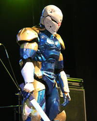 Gray Fox Cosplay - 01