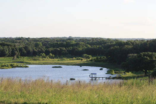 Country Pond