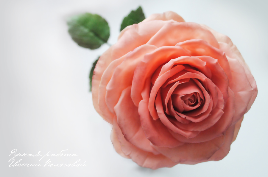 My handmade polymer clay rose.