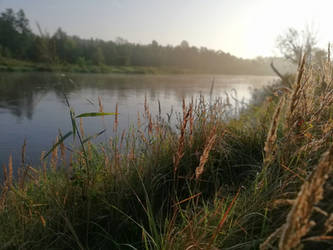 morning run - river 