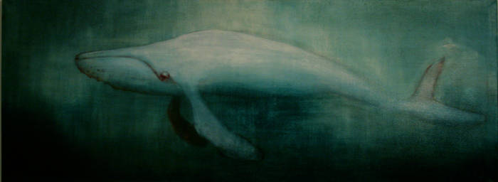 a whale