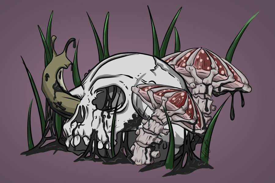 Snail in skull (Snull) by AlizBjork on DeviantArt