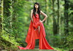 in Red by widjita