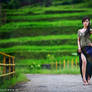 green hills