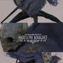 hollow knight wip4