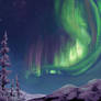 Northern Lights Landscape 2