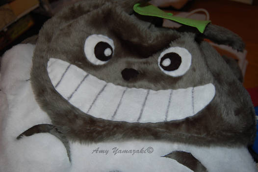 totoro cosplay preview II