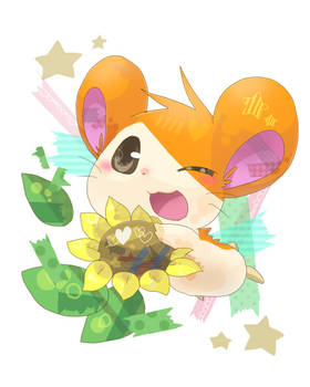hamtaro