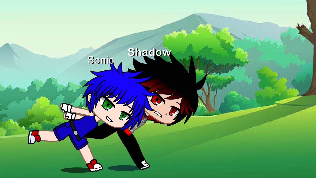 Sonic and Shadow in Green Hill Zone (5) by Banjo2015 on DeviantArt