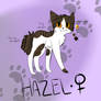 Hazel ref