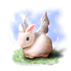 Feathers rabbit