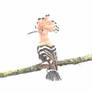 Hoopoe