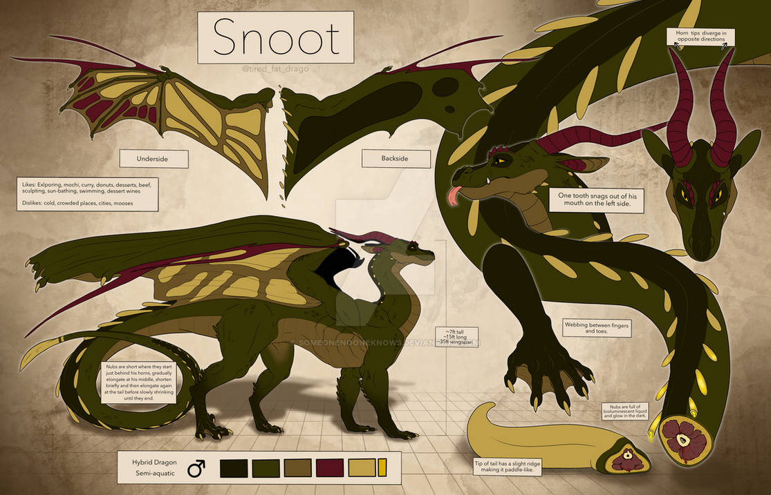Snoot Reference by Someonenooneknows on DeviantArt