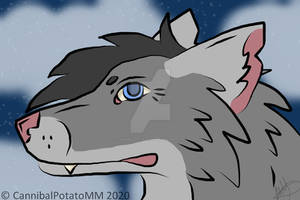 Computer Wolf Deviantart Explore the Best Computerwolf Art | DeviantArt