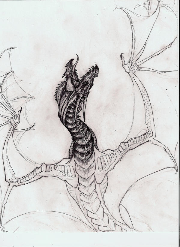 Dragon Rising: Unfinished by TalonArt on DeviantArt