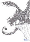 Jester Dragon by TalonArt