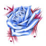 Blue Rose