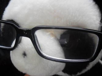 Panda-chan's glasses :D