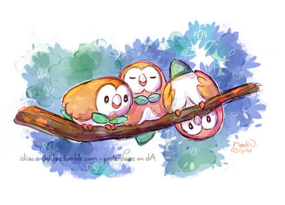 Pokemon - Rowlet trio