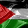 State of Palestine Realistic Flag