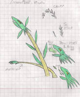 EBF5: Dragon Plant