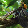 Warrior Fairy