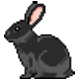 Tip jar: beautiful bun bun tier