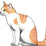 BrightHeart