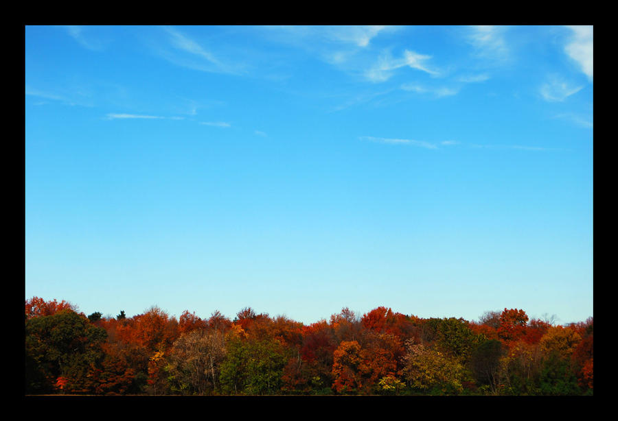 Fall Sky Line by TheMadMooMan on DeviantArt