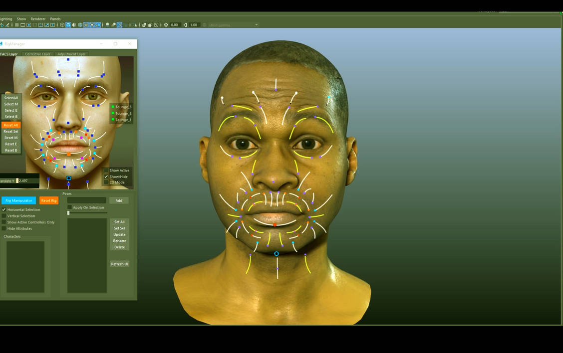 The Face Rig by Bad-Uncle on DeviantArt