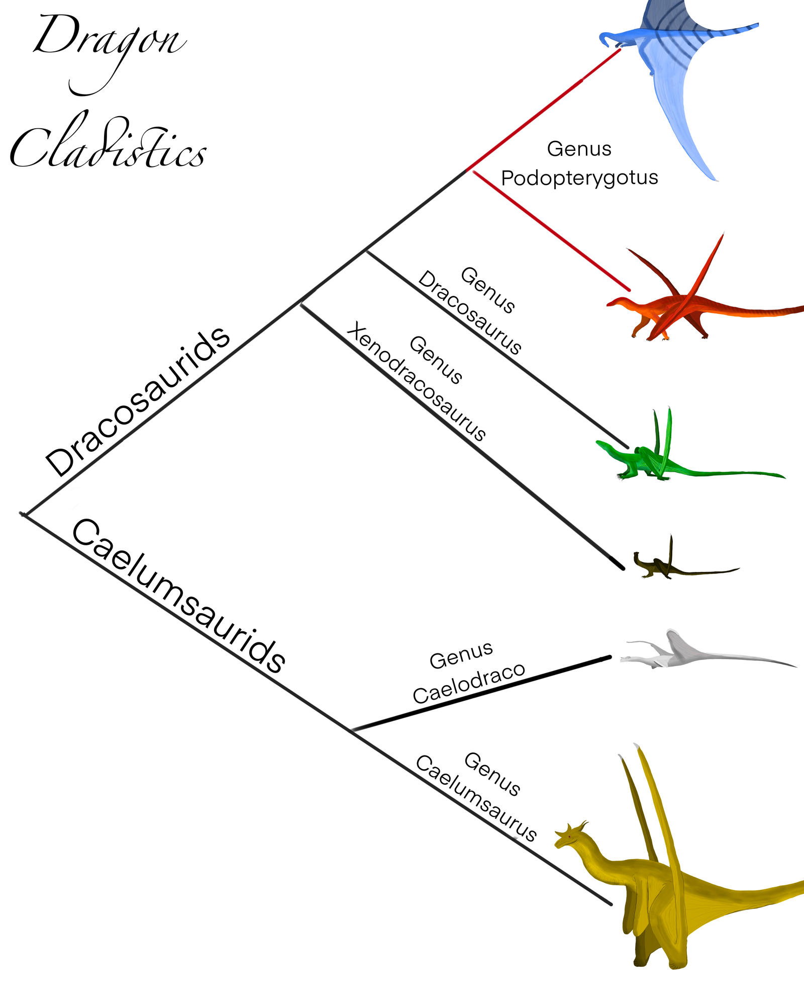 Dragon cladistics by CleanlyMoss on DeviantArt