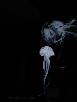 -the jellyfish-