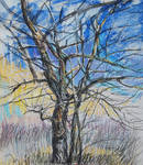 Untitled color tree scetch by Lusidus