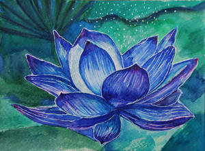 Blue lotus