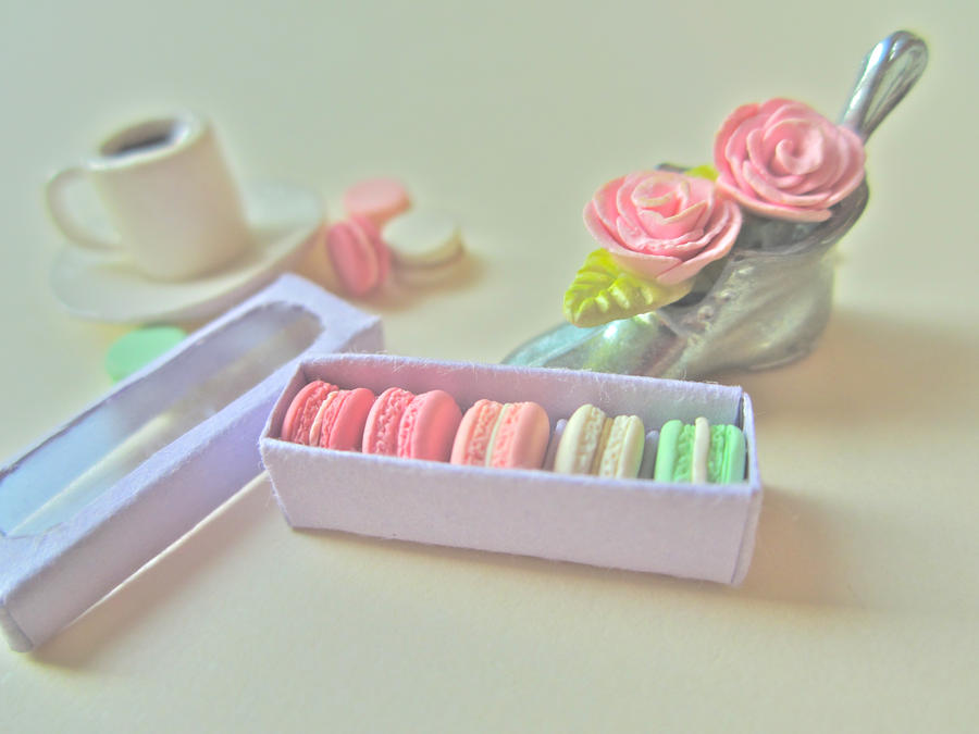 Box of Macarons 2