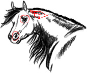 Horse tat v2