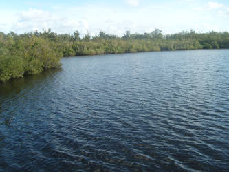 Sawgrass Lake