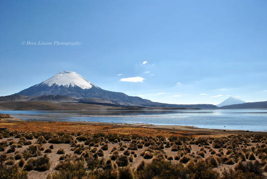 Parinacota's domain