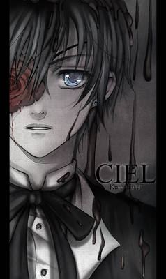 Into the darkness - Ciel