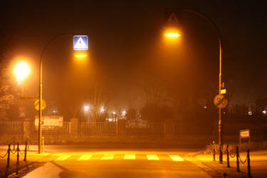 Crosswalk In The Fog