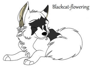 For Blackcat-flowering