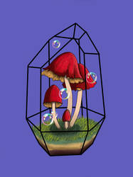 Mushroom terrarium