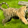 Tiger Cub: Mud