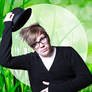 Patrick Grass Icon