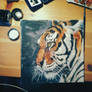 Tiger Obsession